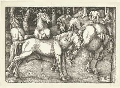 Grupp om sex kamphästar av Hans Baldung Grien