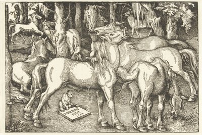 Grupp om sju hästar och en apa av Hans Baldung Grien