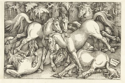 Grupp om sju kamphästar av Hans Baldung Grien