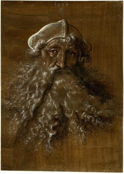 Huvud av en gammal man med kraftigt skägg av Hans Baldung Grien
