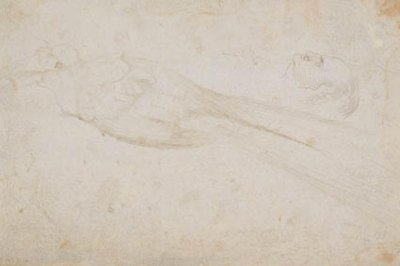 Paradisfågelman och huvudet på en medelålders man i profil till vänster; även detaljer om av Hans Baldung Grien