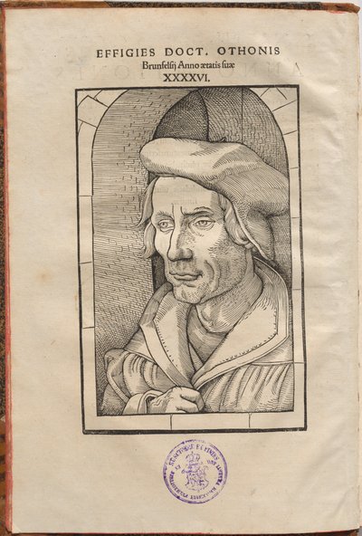Anteckningar av Othonis Brunfelsius...i de fyra evangelierna och Apostlagärningarna... av Hans Baldung Grien, Otto Brunfels