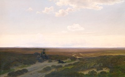 Vy över Pårup Moors nära Silkeborg, Jylland av Hans Friis