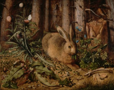En hare i skogen av Hans Hoffmann
