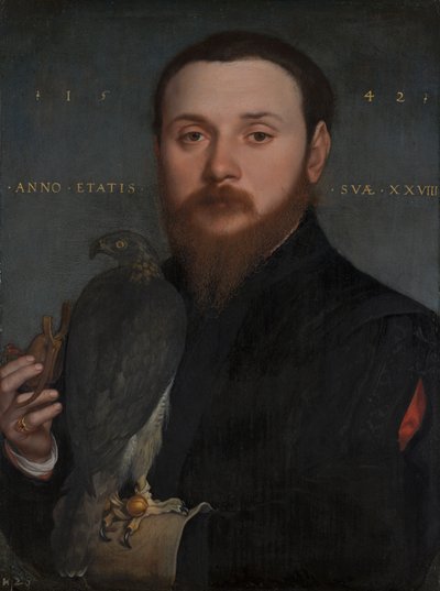 Porträtt av en adelsman med en hök, 1542 av Hans Holbein der Jüngere