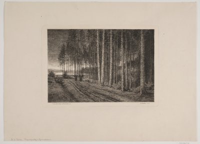 Regnig dag i granskogen av Hans Julius Fæster