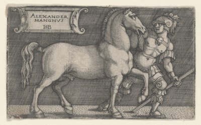 Alexander den store ledande Bucephalus, ca 1531-1550 (gravyr) av Hans Sebald Beham