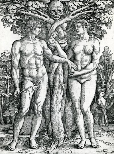 Adams och Evas fall, ca 1525-27 (träsnitt) av Hans Sebald Beham
