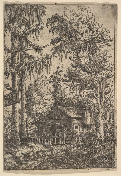 Stuga bland träd, 1551. av Hans Sebald Lautensack