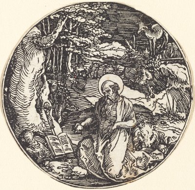 Den helige Hieronymus i botgörelsen av Hans Springinklee