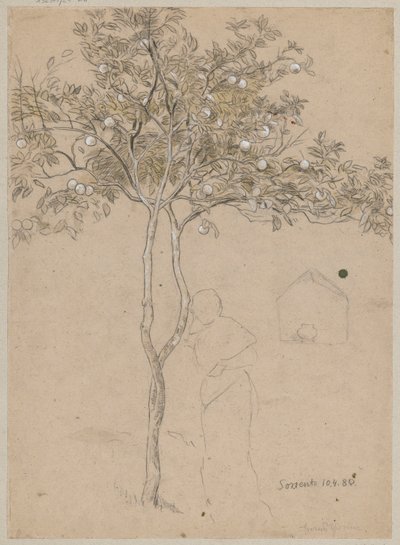 Studie av ett apelsinträd från trakten kring Sorrento. Kontur av en kvinnlig figur av Hans Thoma
