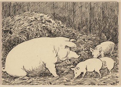 Illustration till läroboken: Gris av Hans Thoma