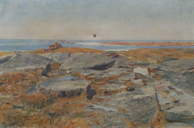 Studera av Concarneau av Hans Tichy