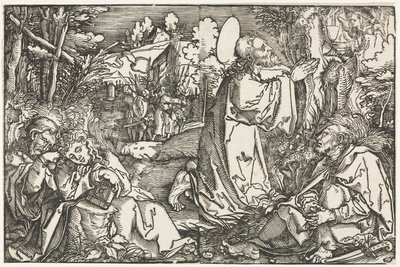 Plågorna i trädgården av Hans Weiditz