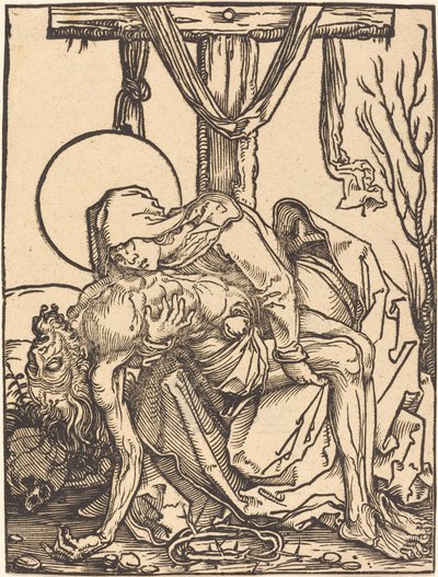 Medkänsla av Hans Weiditz, II
