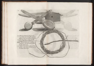 Illustration från resan till ön Madera, Barbados...Vol.2, 1815 av Hans after Sloane