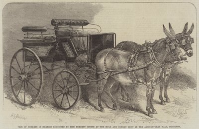 Pair of Donkeys in Harness utställd av Miss Burdett Coutts på Mule and Donkey Show i Agricultural Hall, Islington av Harden Sidney Melville