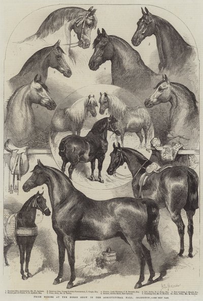 Prishästar vid hästutställningen i Agricultural Hall, Islington av Harden Sidney Melville