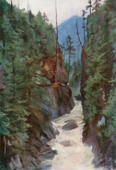 Capilano Canyon, latalata i North Vancouverswed av Harold Copping