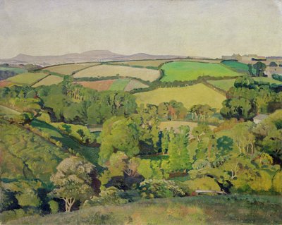 Drift Valley (olja på duk) av Harold Harvey