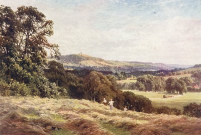 A Hayfield, Wonersh (färglitografi) av Harold Sutton Palmer