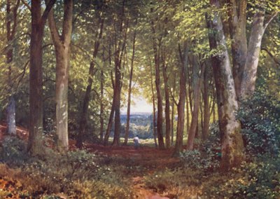 Deer-Leap Wood, Wotton (färglitografi) av Harold Sutton Palmer