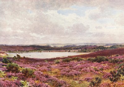 The Great Pond, Frensham (färglitografi) av Harold Sutton Palmer