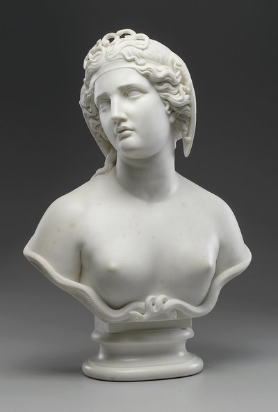 Medusa av Harriet Goodhue Hosmer
