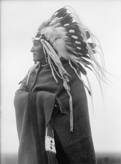 Lazy Boy, indianhövding av Harris & Ewing