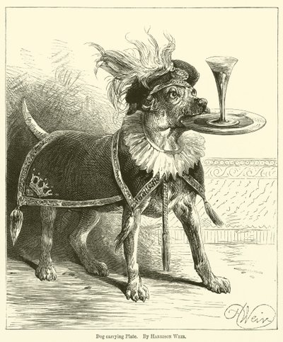 Hundbärande tallrik av Harrison William Weir