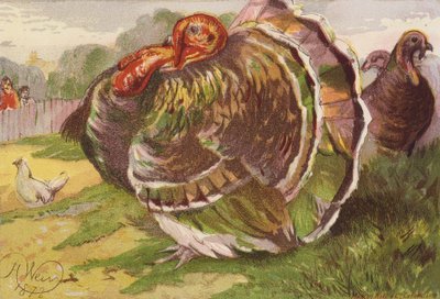 Rasande kalkonhane (färglitografi) av Harrison William Weir