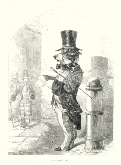 Roliga hundar: Den snabba hunden (gravyr) av Harrison William Weir