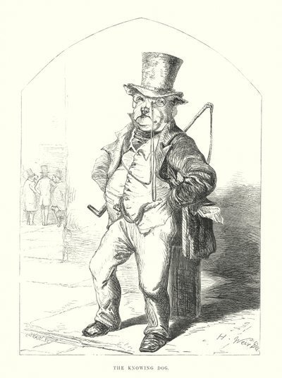 Roliga hundar: Den kunniga hunden (gravyr) av Harrison William Weir
