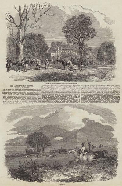 Hennes Majestäts Stag-Hounds i Hillingdon av Harrison William Weir