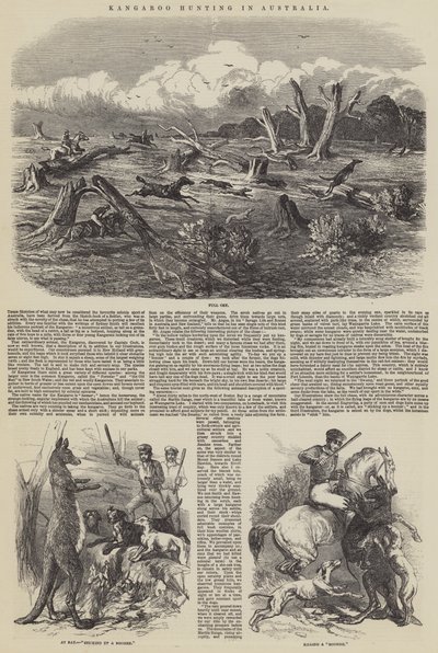 Kängurujakt i Australien av Harrison William Weir