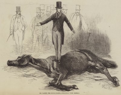 Mr Rarey, the Horse-Tamer, operating upon Cruiser  av Harrison William Weir