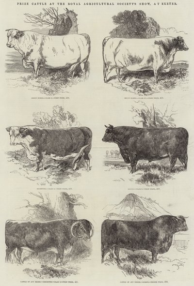 Prisboskap på Royal Agricultural Society