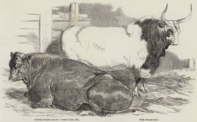 Prisboskap på Royal Agricultural Society