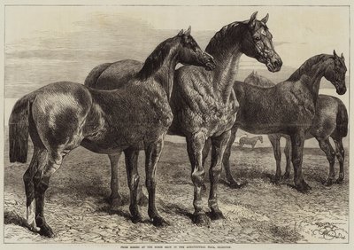 Prishästar vid hästutställningen i Agricultural Hall, Islington av Harrison William Weir