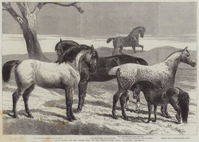 Prishästar på Horse Show i Agricultural Hall, Islington av Harrison William Weir