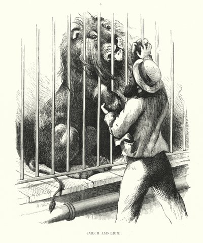 Sjöman och lejon (gravyr) av Harrison William Weir