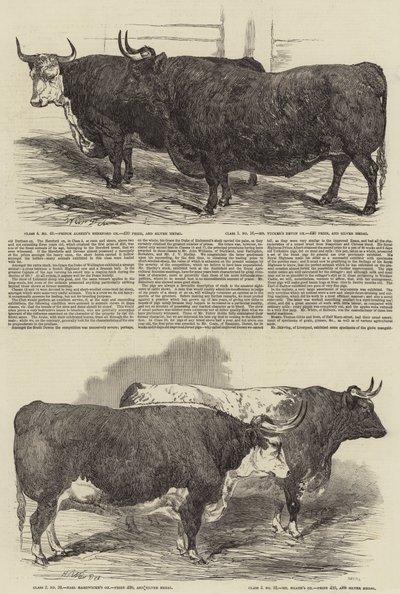 Smithfield Clubs årliga utställning av Harrison William Weir