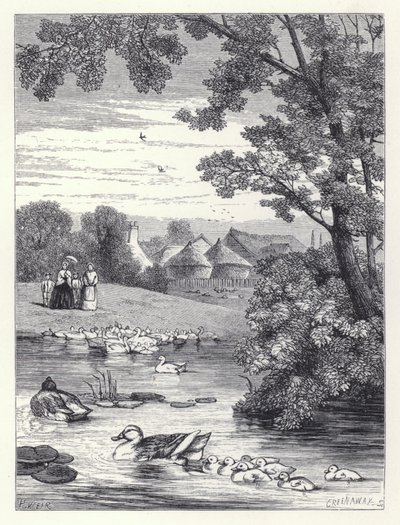 The Duck Pond (gravyr) av Harrison William Weir