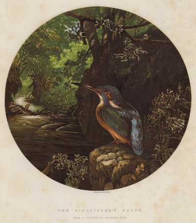 Kungsfiskarens tillhåll av Harrison William Weir