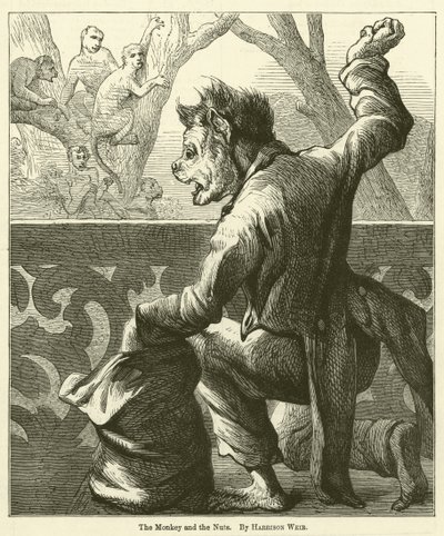 Apan och nötterna av Harrison William Weir