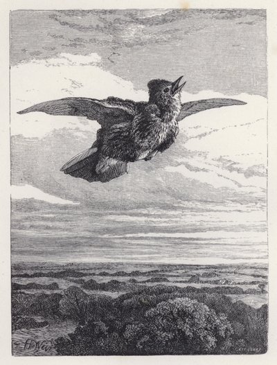 Lärkans sång (gravyr) av Harrison William Weir