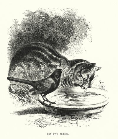 De två vännerna (gravyr) av Harrison William Weir