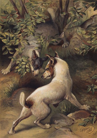 Två hundar som försöker nå en vattenpöl för att dricka (chromolitho) av Harrison William Weir