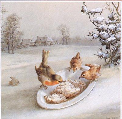 Robins and Wrens: Vinterfrukost, vykort av Harry Bright