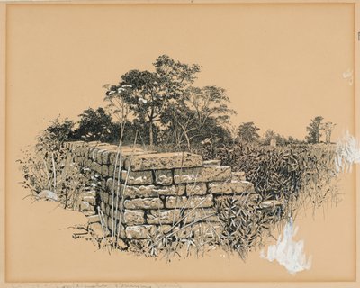 Corner Confederate Burying Ground av Harry Fenn